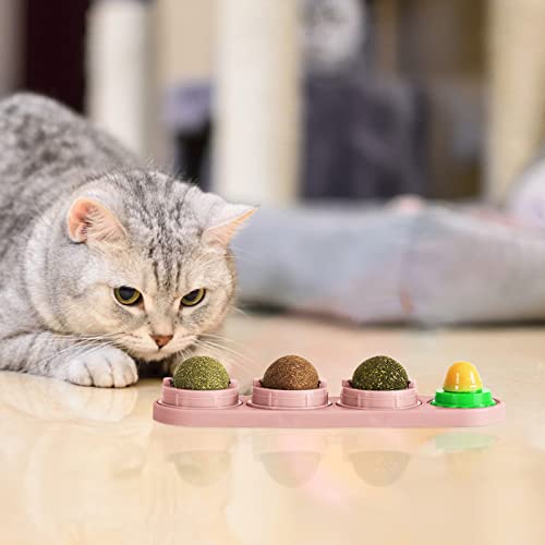 Catnip gato | Bolas comestíveis lanche gato seguro com catnip natural saudável,Bolas comestíveis nat