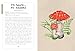 Mushroom Miscellany: An Illustrated Guide Featuring Fun Facts, Mushroom Profiles, Recipes & More