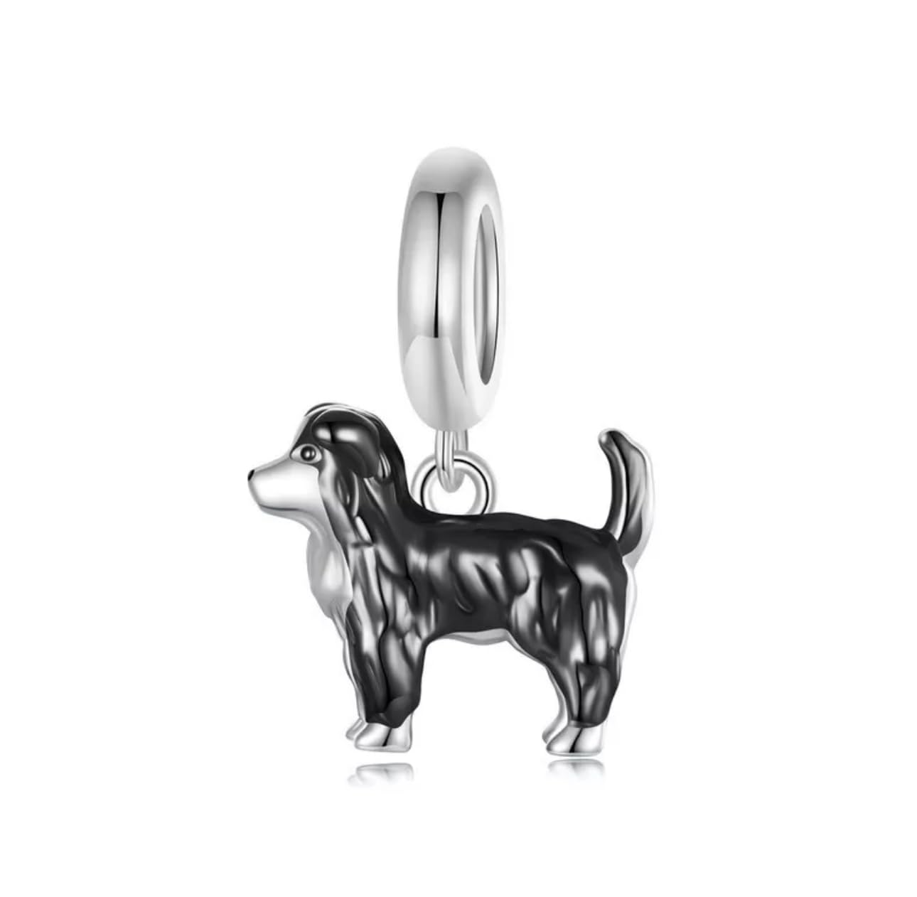 Dije de Border Collie en plata de ley 925 compatible con pulseras 8
