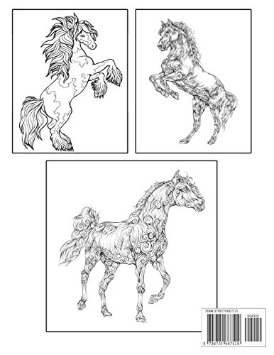 New Horses Coloring Book: 50 One Sided Horse Designs Coloring Book Horses Stress Relieving 100 Page