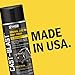 Seymour CA16-48 Cast Blast Spray Paint 12 Ounce (Pack of 1)