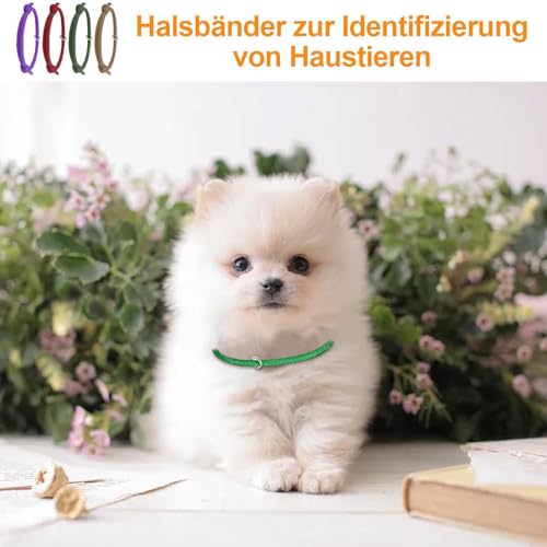 12 Stück Welpen ID Halsbänder, Welpenhalsbänder Einstellbar Soft Welpen Halsbänder, für Kleine Katzen, Hunde Welpen für Neugeborene Haustiere, 12 Farben