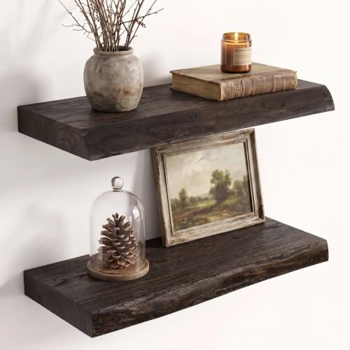 Image of Fun Memories 16 inch Elm Wood Floating Shelves for Wall, Walnut Finish, 2 Pack