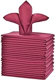 Cieltown Polyester Cloth Napkins 1-Dozen, Solid Washable Fabric Napkins Set of 12, Perfect for Weddi