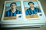 Panini