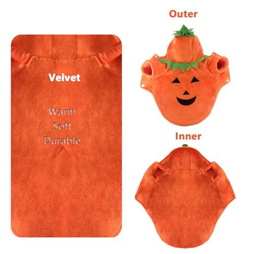 Disfraz de Calabaza para Perro Grande 3XL Naranja miniatura 7