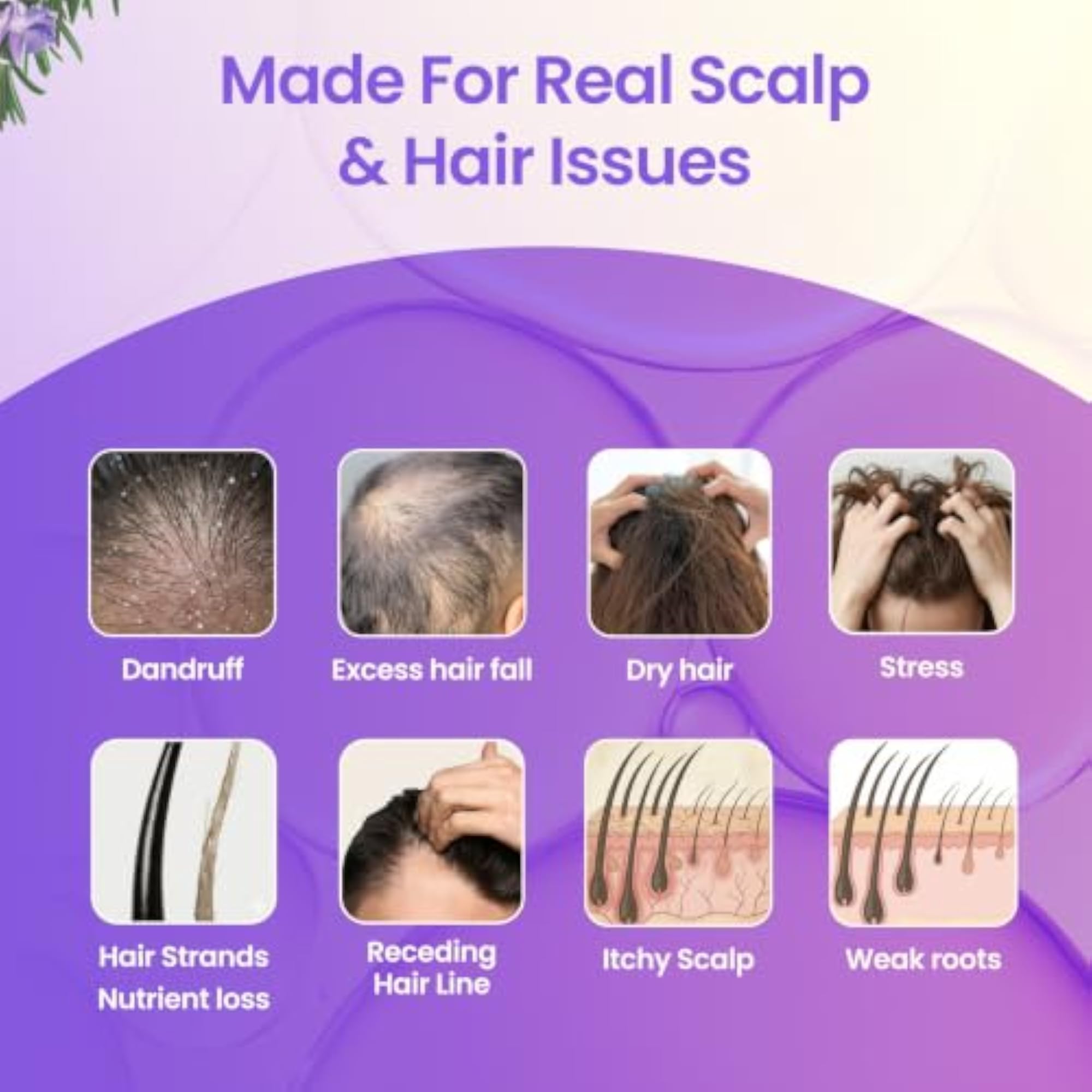 Complete Hairfall Kit, 4-in-1 Routine for Growth