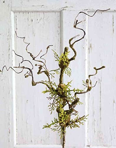 artplants.de Kunstzweig Korkenzieherweide RODRIK, Moos, Farn, braun-grün, 80cm - Deko Korkenzieherzweig Cover