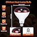 LUCKY HERP Heat Lamp for Chickens, 250 Watt Red Heat Lamp Bulbs, Infrared Heat Lamp for Chickens, Chicks, Reptile, Pets, Brooder Coop, Poultry (1 Pack)