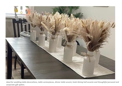 Image of SPHINX Ribbed Pipe Ceramic Vase, Flower Vase, Pampas Grass Vase, Vase for Money Plant Live Plants for Home, Office, or Gifts NO Flowers- (SN-White 8.5 Inch)