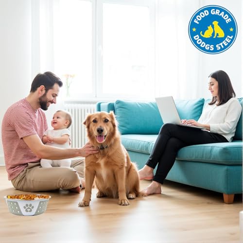 Image of PremiumAV Holy Paws Hermosa Stainless Steel Dog Bowl 300 ML S Size for Dogs, Cats & Kittens - Durable Paw Print Non-Slip Pet Feeding Dish 1 PC