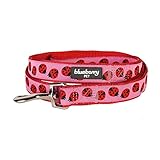 Blueberry Pet Durable Pink Webbing Ladybug Designer Dog Leash 5 ft x 5/8