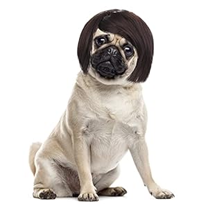 Cobee Grappige pruik voor honden en katten, verstelbaar kostuum, grappig hoofddeksel, kostuums, hoofddeksel voor kleine en middelgrote honden, voor Halloween, Kerstmis, decoraties