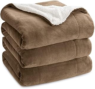 BEDSURE Sherpa Fleece Blanket Queen Size - Fluffy Microfiber Solid Blankets for Bed Large Throw, Silver Grey, 220x240cm