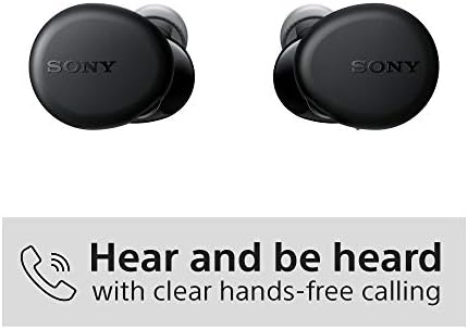 Sony WF-XB700 Wireless Bluetooth Headphones, 18 Hours Battery Life and Quick Charge and Voice Assistant Compatible, Black