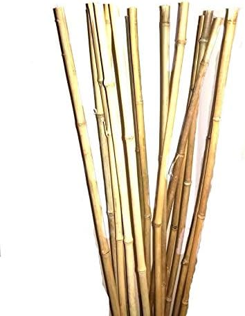 Empire Home Natural Thick Bamboo Stakes 2.5 Feet Tall About Half Inch Diameter - Pack of 8 (Natural Yellow)
