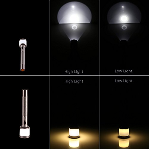 Aglaia Torcia LED con Batteria Ricaricabile