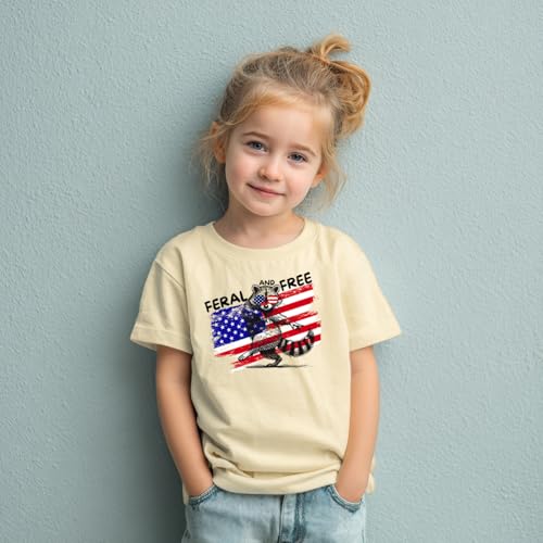 Image of Boys Constitution Day 250 Anniversary USA Shirt Independence Shirt 3-8T | for Kids Boys Girls Toddlers 3T-8T, 4th of July Dinos Flag Patriotic Tee, Independence Day