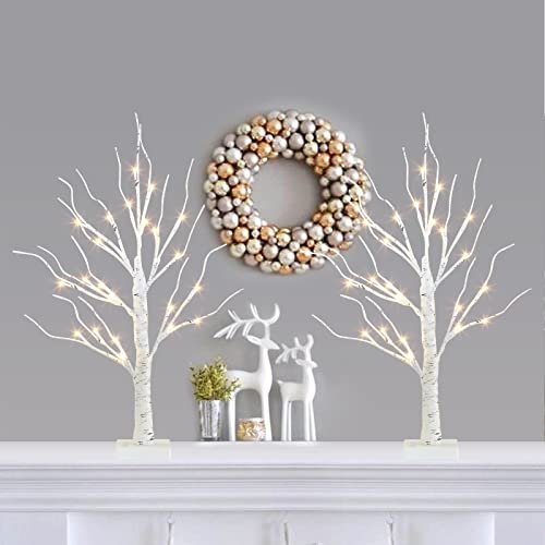 PABIPABI 2 Packs 24 LED 24'' Home Decor Lighted Birch Tree Money Tree Bonsai Tree Artificial Tree Lights Battery Powered Timer Warm White for Home Wedding Easter Saint Patrick Valentine Thanksgiving
