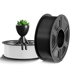 TECBEARS PETG 2 packs (2kg)