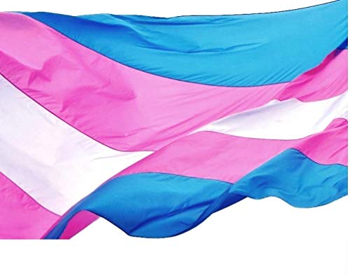 US Flag Factory 3x5 FT Transgender Pride Flag (Sewn Stripes) Outdoor SolarMax Nylon - Made in America (3'x5')