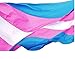 US Flag Factory 3'x5' Transgender Pride Flag (Sewn Stripes) Outdoor SolarMax Nylon - Made in America (3'x5')