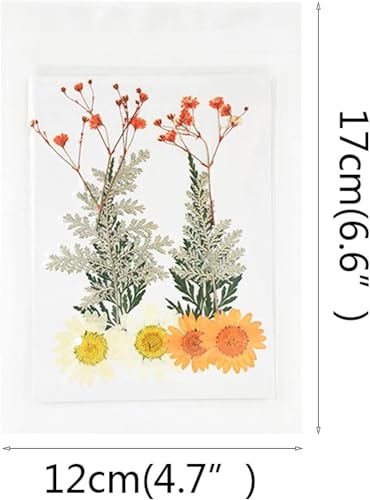 Flor seca pequeña artesanal para decoración y manualidades miniatura 2