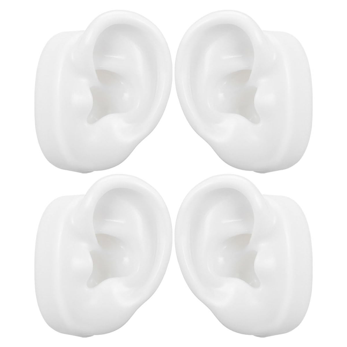 Entraînement piercing oreille avec modèles d'oreilles artificielles silicone