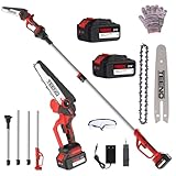 Potatore a palo TEENO, motosega elettrica, motosega elettriche 2 in 1, asta telescopica, 6 pollici, batteria 2 * 4000 mAH