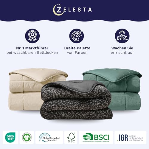 Zelesta Teddybed Bettdecke 4 Jahreszeiten - Teddy Bettwäsche Winterdecke und Sommerdecke - Waschbare Anti-Allergene Steppdecke - Fluffy Duvet