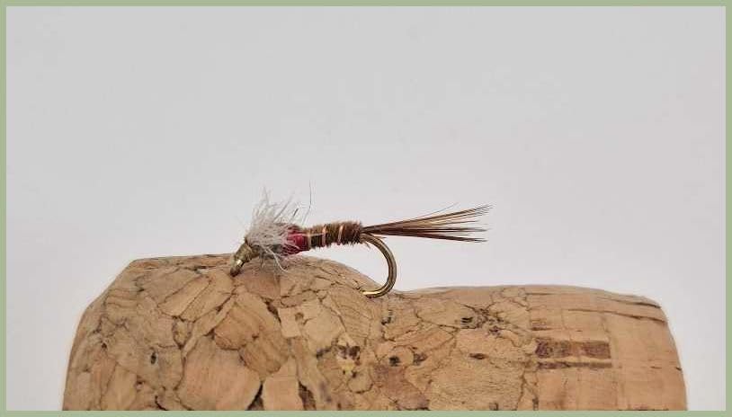 Barbless Natural Cut Throat Muskin Nymph, Trout Flies Choice of size and quantity excellent nymph pattern for fly fishing (3, 10)