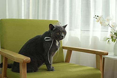 Lovelyshop Pet Series Classic Petal Strass Hund Katze Tiara Krone für Kostüm Mini Hund Haar Zubehör, S