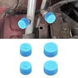 QQWD 4PCS Car Air Conditioner Valve Caps Replacement High and Low Pressure Valve Caps, R134a A/C Repair System Charge Port Cover, Leak-proof A/C Seal Covers Kit for Most Cars Trucks SUVs(Blue)