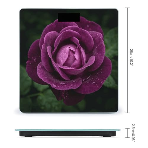 Báscula Digital de Baño Deep Purple Rose 400lb Capacidad miniatura 2
