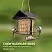 Suet Bird Feeder for Outside [Double Capacity] Suet Wild Bird Feeder with Hanging Metal Roof, Suet Feeders for Outside, for Use with Suet Cakes, Seed Cakes, Mealworm Cakes