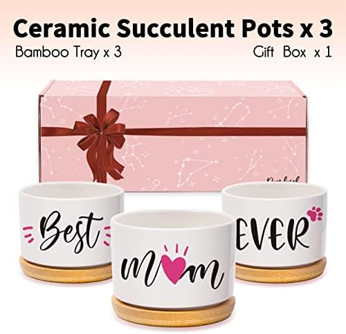 Gifts for Mum, Mum Birthday Gifts from Daughter or Son, Best Mum Ever Succulent Planters, Birthday Gifts for Mum, Unique Presents for Mum on Christmas Birthday Thanksgiving Valentines Mother's Day