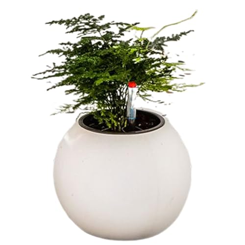 Macetas de Interior, macetas de riego automático para Plantas | Contenedor de suculentas perezosas en Forma de Bola para jardín y hogar, decoración Moderna