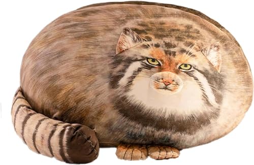 }klR ʂ  ʂ _炩  NbV  킢  3D 傫 A   YQ Ƃ낯悤ȔG n l` q LbY 蕨 \t@[w v[g Dw NbV O