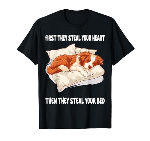Nova Scotia Duck Tolling Retriever �X���[�s���O�p�W���} T�V���c