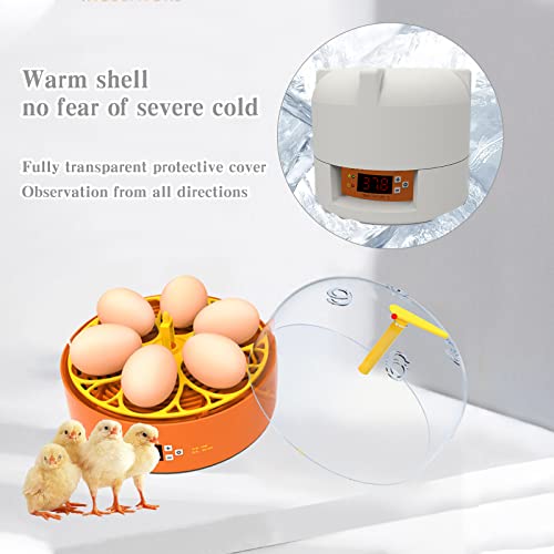 Fanxier Incubadora de Ovos, Máquina de Incubação de Aves Totalmente Automática para 6 Ovos, com Giro