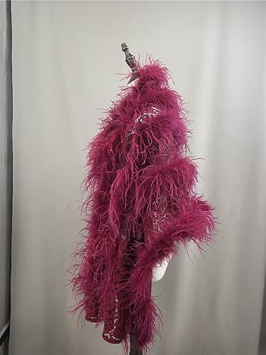 LVCOMEFF Women Lace Shawl With Ostrich Feather Layer Trimming Luxurious Holographic Sheer Mesh Cape Elegant For Party4