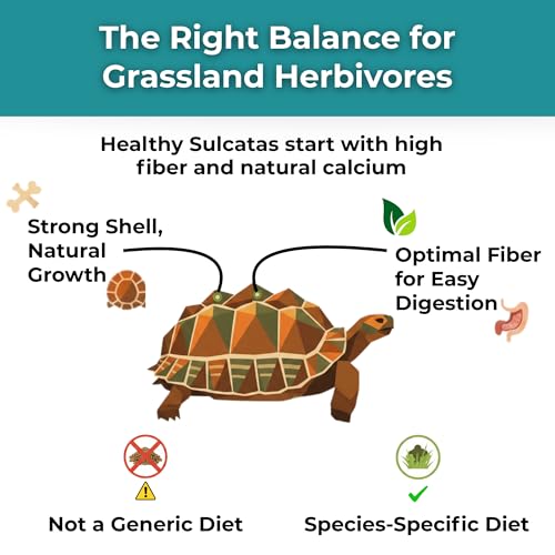 image for Tortoise Resource Center Sulcata Tortoise Calcium Powder - Herpetologi