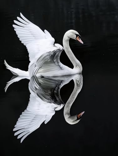 Diamond Painting Cygne 40x50cm - Kit Peinture Diamant Complet avec Accessoires DIY pour Adulte