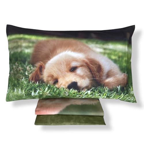 Bassetti Completo Lenzuola Letto Singolo – 100% Cotone Made in Italy – Stampa Digitale – Lenzuolo sopra 160x280 cm, Lenzuolo sotto con Angoli 90x200 cm, Federa Double Face 50x80 cm (Pongo)