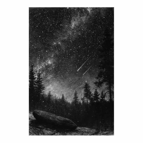 Affiche Ciel Étoilé et Forêts Noir et Blanc pour Chambre et Salon Zen