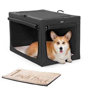 Petsfit Faltbare Hundebox für mittlere Hunde