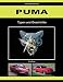 Produktbild Puma: Typen und Geschichte
