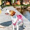 Adjustable Puppy Mesh Bag