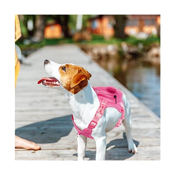 Adjustable Puppy Mesh Bag