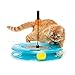 Kitty City Swat Track Cat Toy, 3 Toys in 1 Cat Toy for Cat and Kitty
